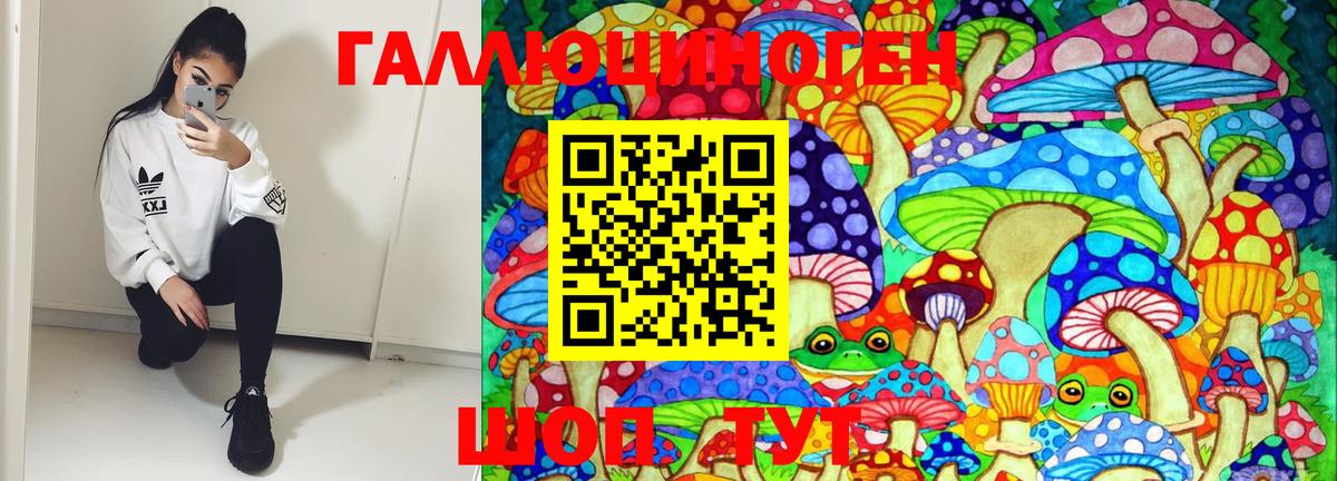 Псилоцибиновые грибы Magic Shrooms  Вход с VPN  Химки 