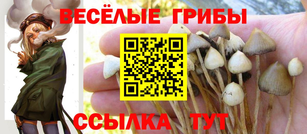 Псилоцибиновые грибы мицелий Химки
